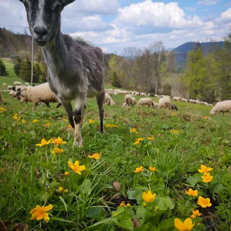 בית חווה Domek Pod Praszywka *