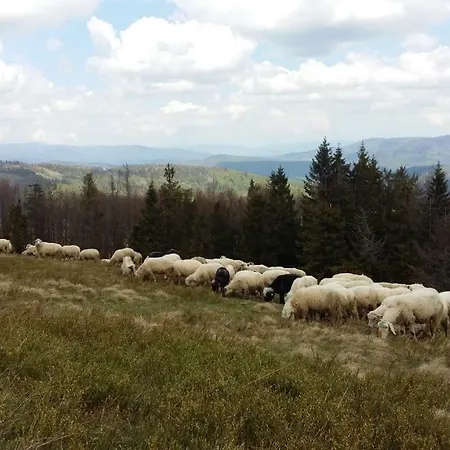 Domek Pod Praszywka