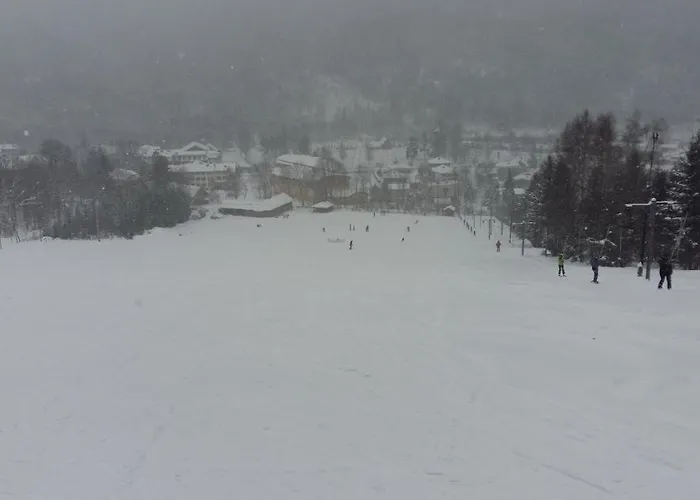 Domek Pod Praszywka *