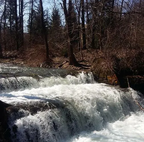 בית חווה Domek Pod Praszywka *