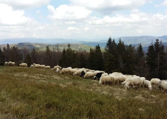 Domek Pod Praszywka