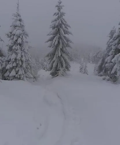 בית חווה Domek Pod Praszywka